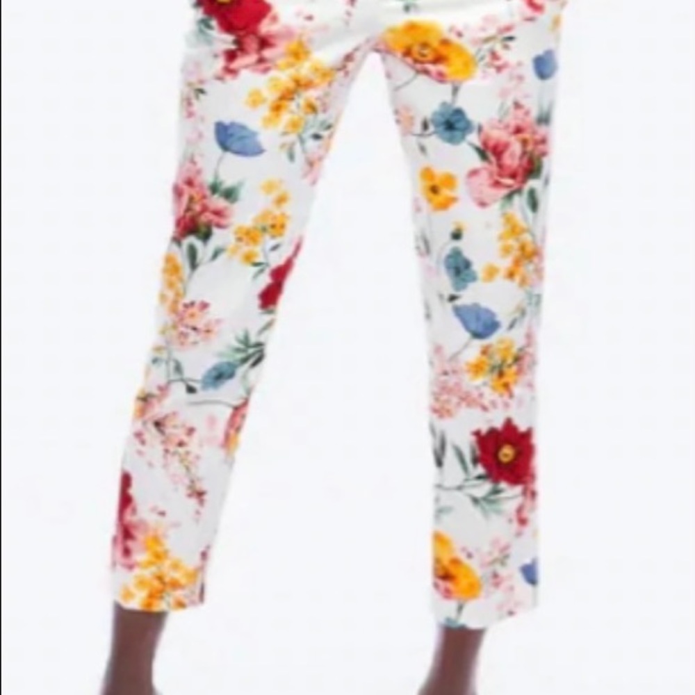 Zara Floral Chino Ankle Trouser Pants  Size 4